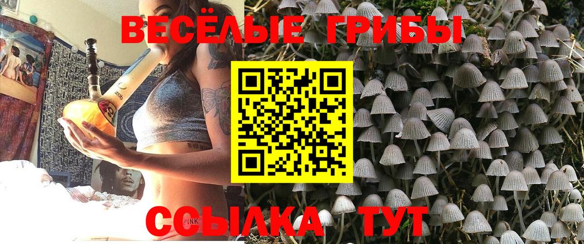 Петропавловск-Камчатский  Галлюциногенные грибы прущие грибы  Вход с VPN  купить наркотик  Псилоцибиновые грибы прущие грибы 