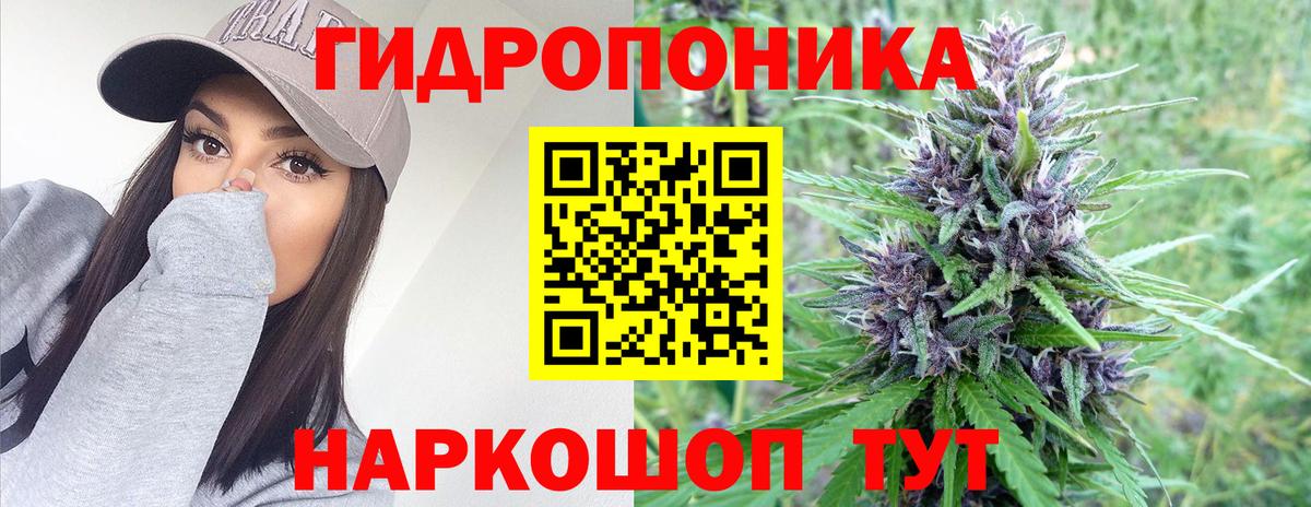 Марихуана марихуана Петропавловск-Камчатский